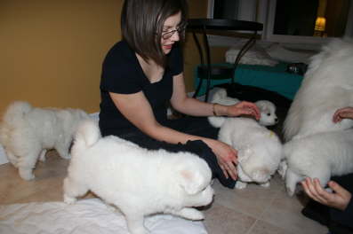 Kirsten surrounded by the puppies