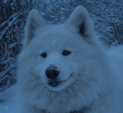 KiskaInNarnia