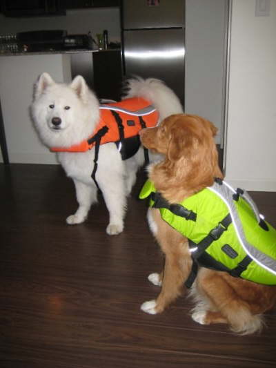 Life Jackets