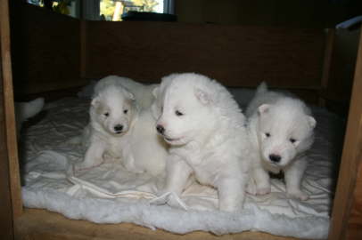 Blue boy in the middle: