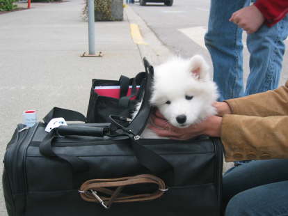 Pink Girl is leaving January 24, 09 (11)