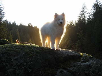 Brilliant gorgous little boy