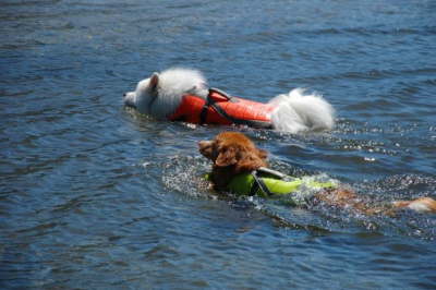 Swimming