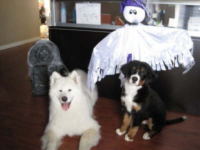 hallloween