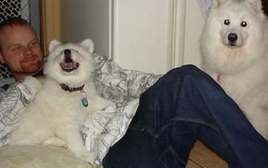 Charlie, Canim and Maggie