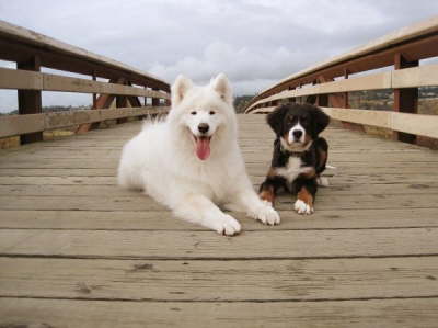 Such good boys! 